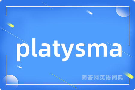 platysma是什么意思,platysma的中文翻译 platysma