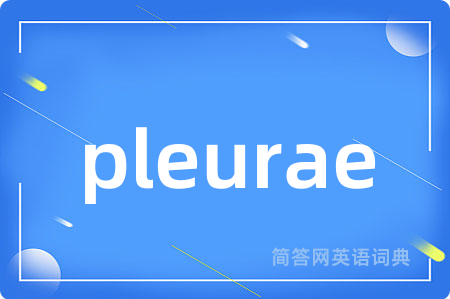 pleurae