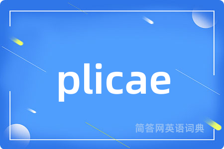 plicae是什么意思,plicae的中文翻译 plicae