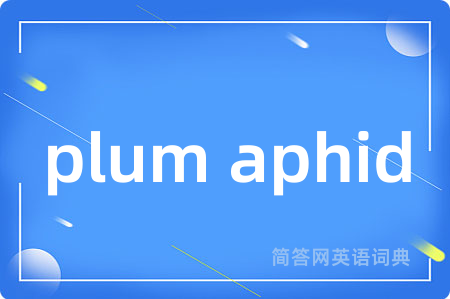 plum aphid