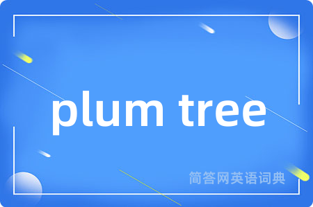 plum tree是什么意思,plum tree的中文翻译 plum tree
