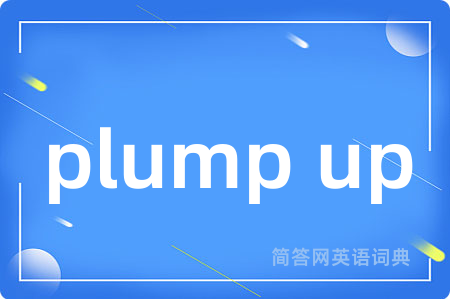 plump up是什么意思,plump up的中文翻译 plump up