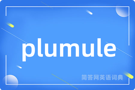 plumule是什么意思,plumule的中文翻译 plumule