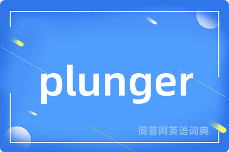 plunger