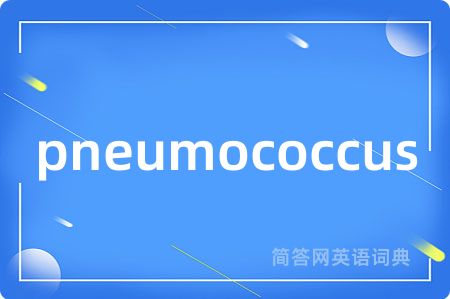 pneumococcus