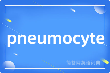 pneumocyte是什么意思,pneumocyte的中文翻译 pneumocyte