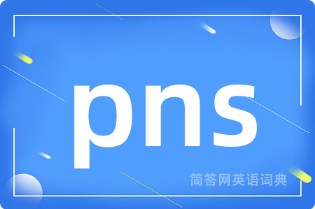 pns是什么意思,pns的中文翻译 pns