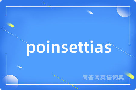 poinsettias