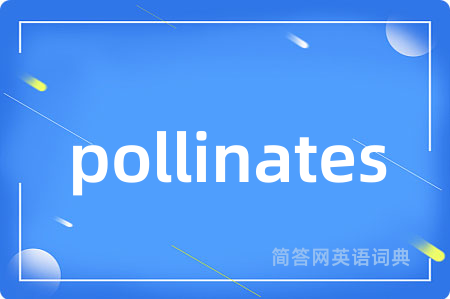 pollinates