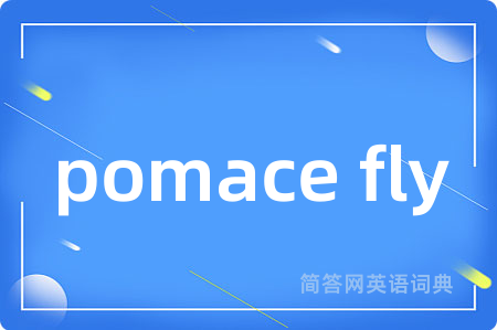 pomace fly