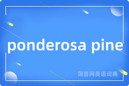ponderosa pine是什么意思,ponderosa pine的中文翻译 ponderosa pine