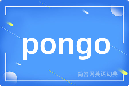 pongo