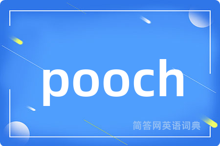 pooch