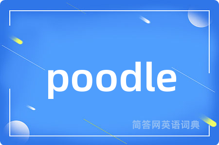 poodle
