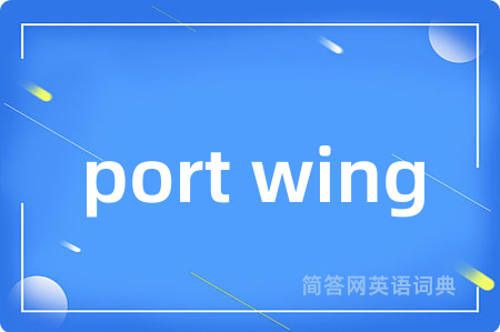 port wing是什么意思,port wing的中文翻译 port wing