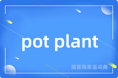 pot plant是什么意思,pot plant的中文翻译 pot plant