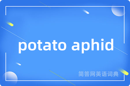 potato aphid是什么意思,potato aphid的中文翻译 potato aphid