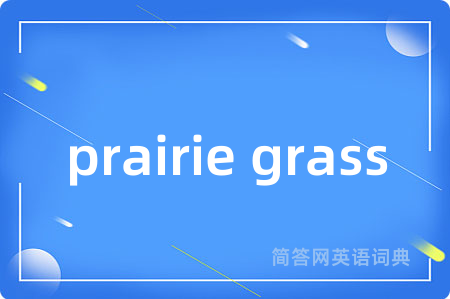 prairie grass是什么意思,prairie grass的中文翻译 prairie grass