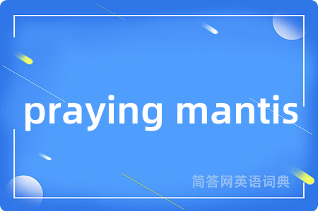 praying mantis
