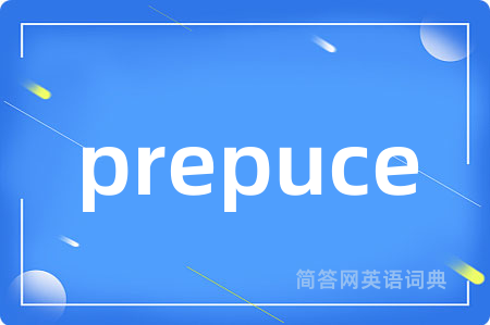 prepuce