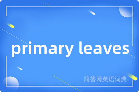primary leaves是什么意思,primary leaves的中文翻译 primary leaves