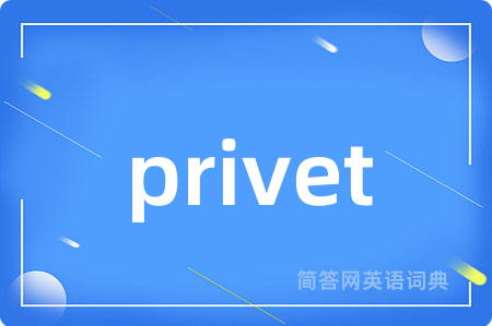 privet是什么意思,privet的中文翻译 privet