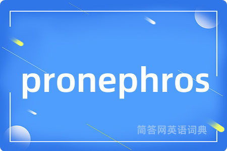 pronephros