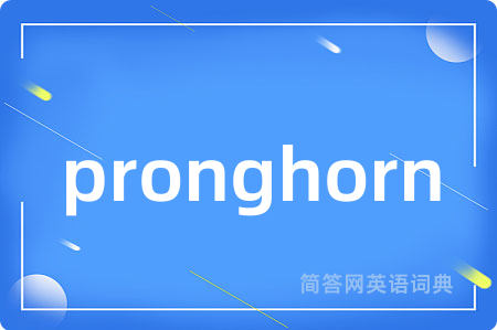pronghorn