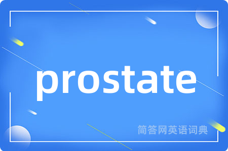 prostate