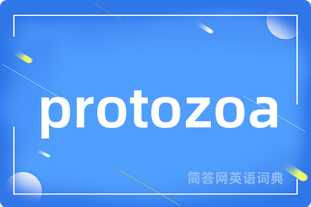 protozoa