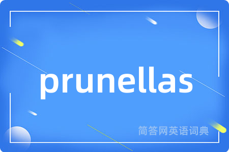 prunellas是什么意思,prunellas的中文翻译 prunellas