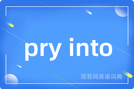 pry into是什么意思,pry into的中文翻译 pry into