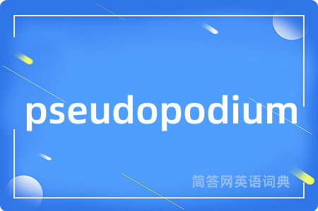pseudopodium