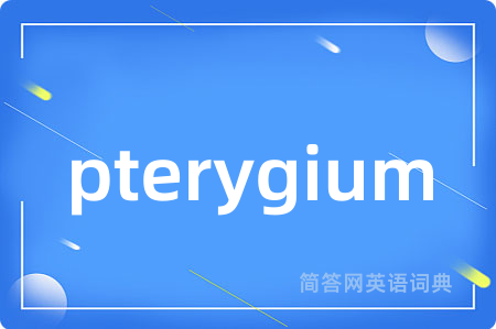 pterygium是什么意思,pterygium的中文翻译 pterygium