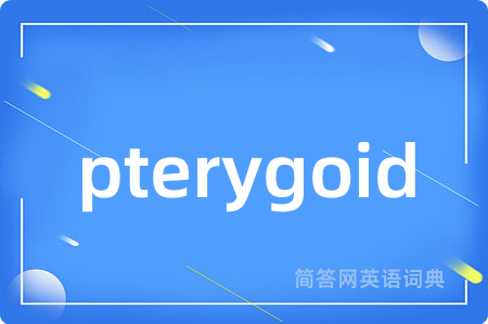pterygoid