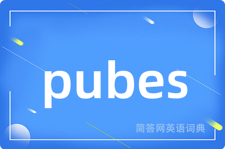 pubes