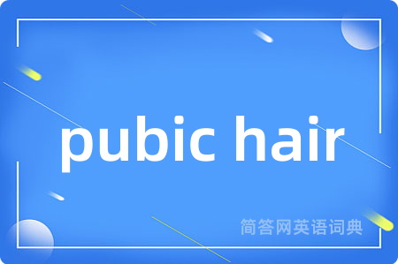 pubic hair是什么意思,pubic hair的中文翻译 pubic hair