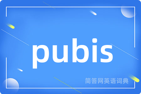 pubis