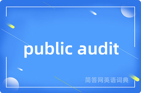 public audit