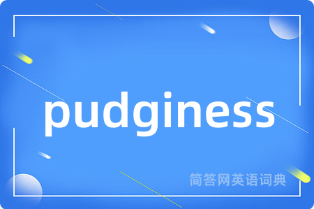 pudginess是什么意思,pudginess的中文翻译 pudginess