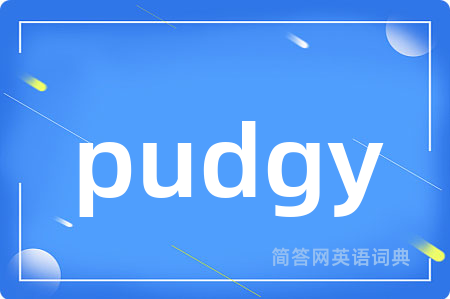 pudgy是什么意思,pudgy的中文翻译 pudgy