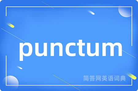 punctum是什么意思,punctum的中文翻译 punctum