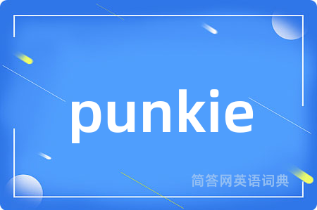 punkie是什么意思,punkie的中文翻译 punkie