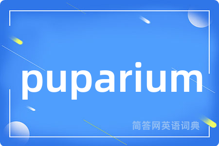 puparium