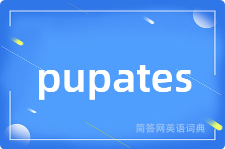 pupates是什么意思,pupates的中文翻译 pupates