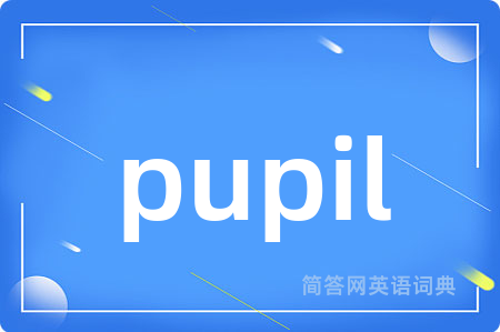 pupil是什么意思,pupil的中文翻译 pupil