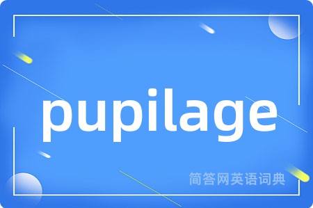 pupilage