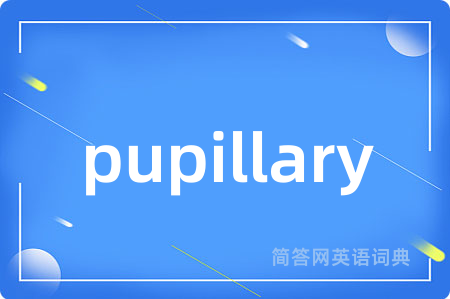 pupillary是什么意思,pupillary的中文翻译 pupillary
