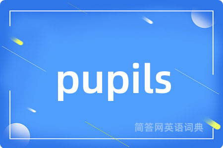 pupils是什么意思,pupils的中文翻译 pupils