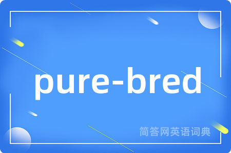 pure-bred